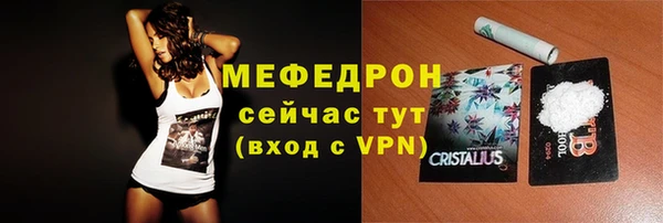 стаф Богородск