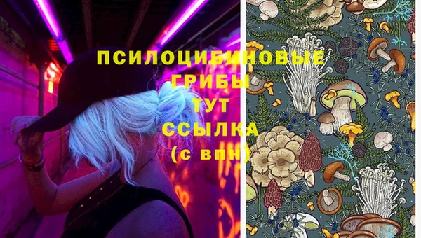 наркотики Бородино