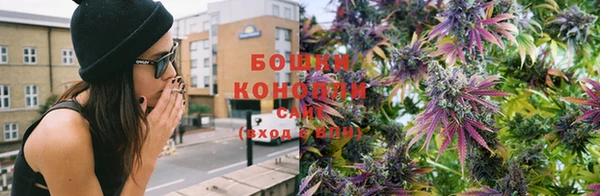 соль ск Богданович