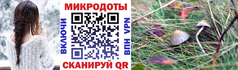 Галлюциногенные грибы Psilocybine cubensis  Комсомольск-на-Амуре 